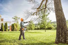 Best Commercial Tree Services  in Prior Lake, MN